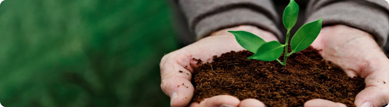 A pair of hands cradling soil and a young green seedling.